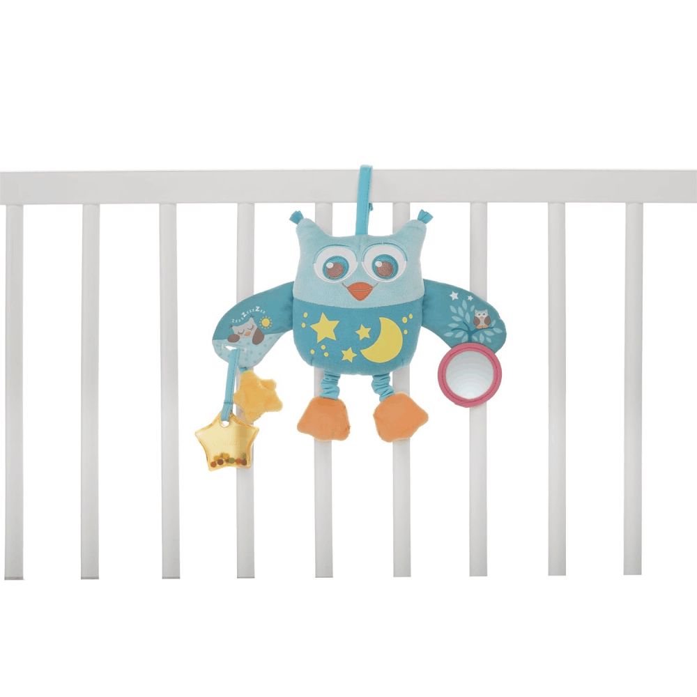 Chicco yumşaq oyuncaq bayquş / 00007704000000 — Mallar, Bakı (2)