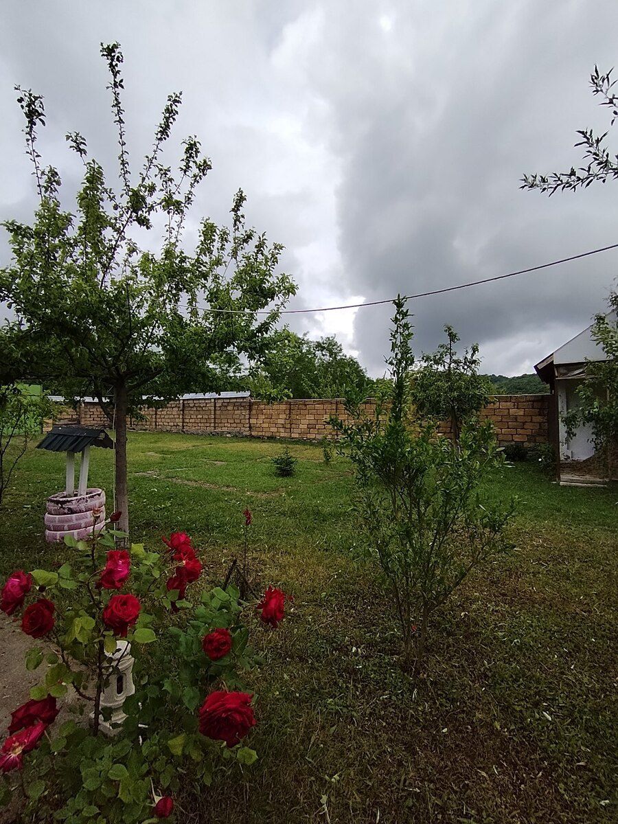3 sot torpaq sahəsi, Qəbələ r — Torpaq, Qəbələ (2)