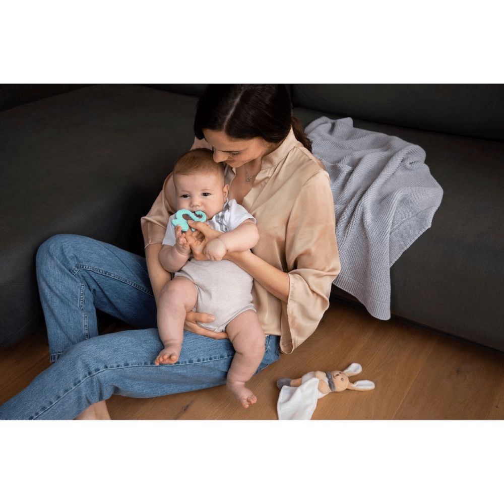 Chicco təravətləndirici diş qaşıyıcısı yaşıl iquan / 00028110200000 — Mallar, Bakı (2)