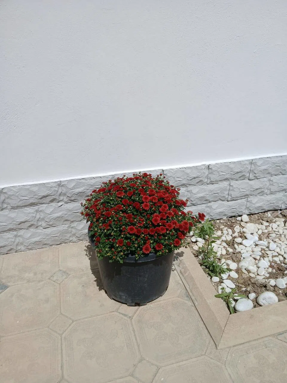 4 otaqlı həyət evi 127 m² satılır — Daşınmaz əmlak, Bakı (9)