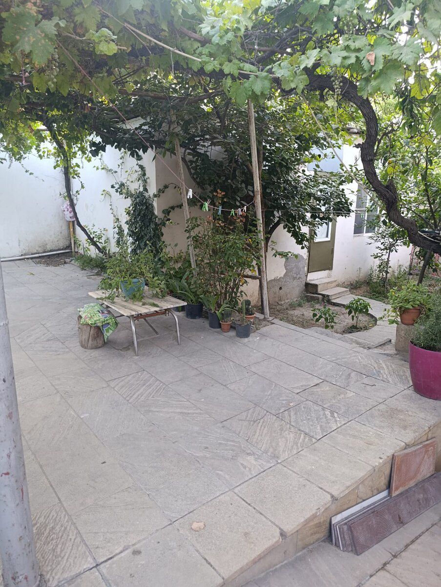 2-otaqlı mənzil kirayə verilir, Dərnəgül m., 45 m² — Mənzil, Bakı (9)