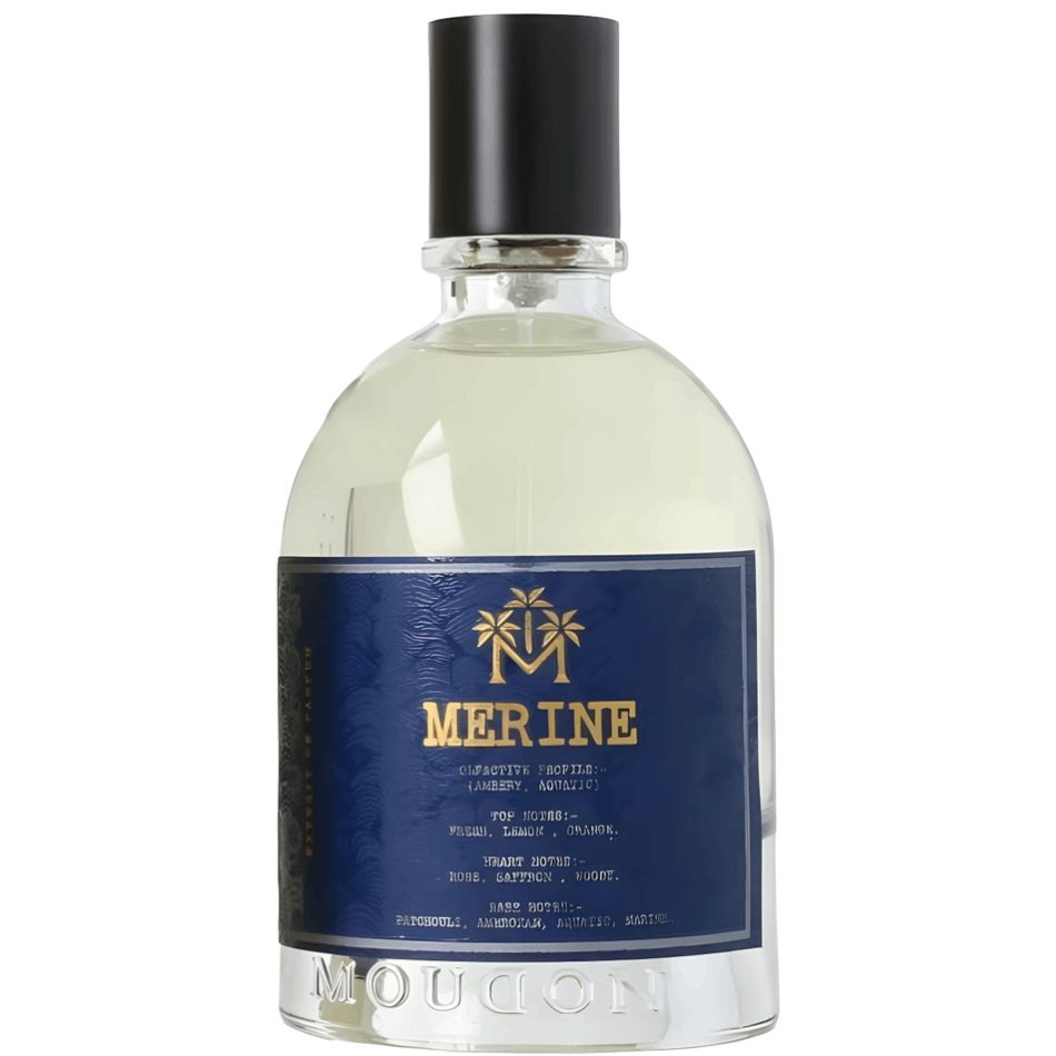 Uniseks parfüm Moudon Merine Exdp 100 ml PCMD2145 — Ətir, Bakı