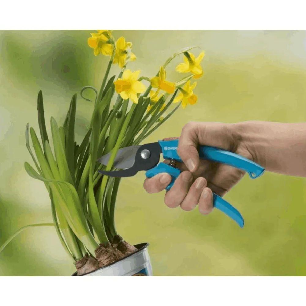 Bağ qayçısı Gardena 8854 — Mallar, Bakı (3)