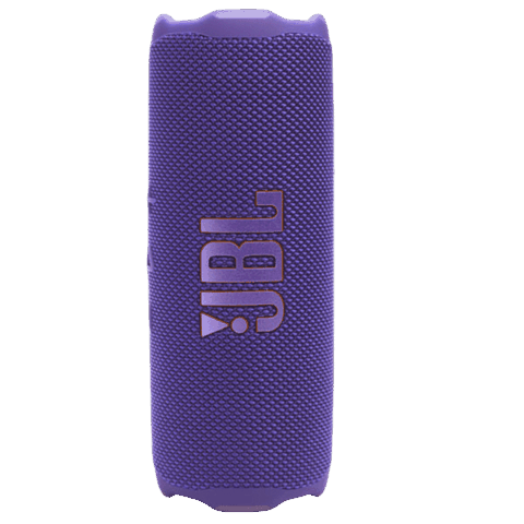 JBL Flip 7 Purple