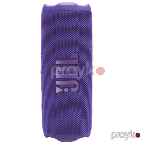 JBL Flip 7 Purple — Bakı