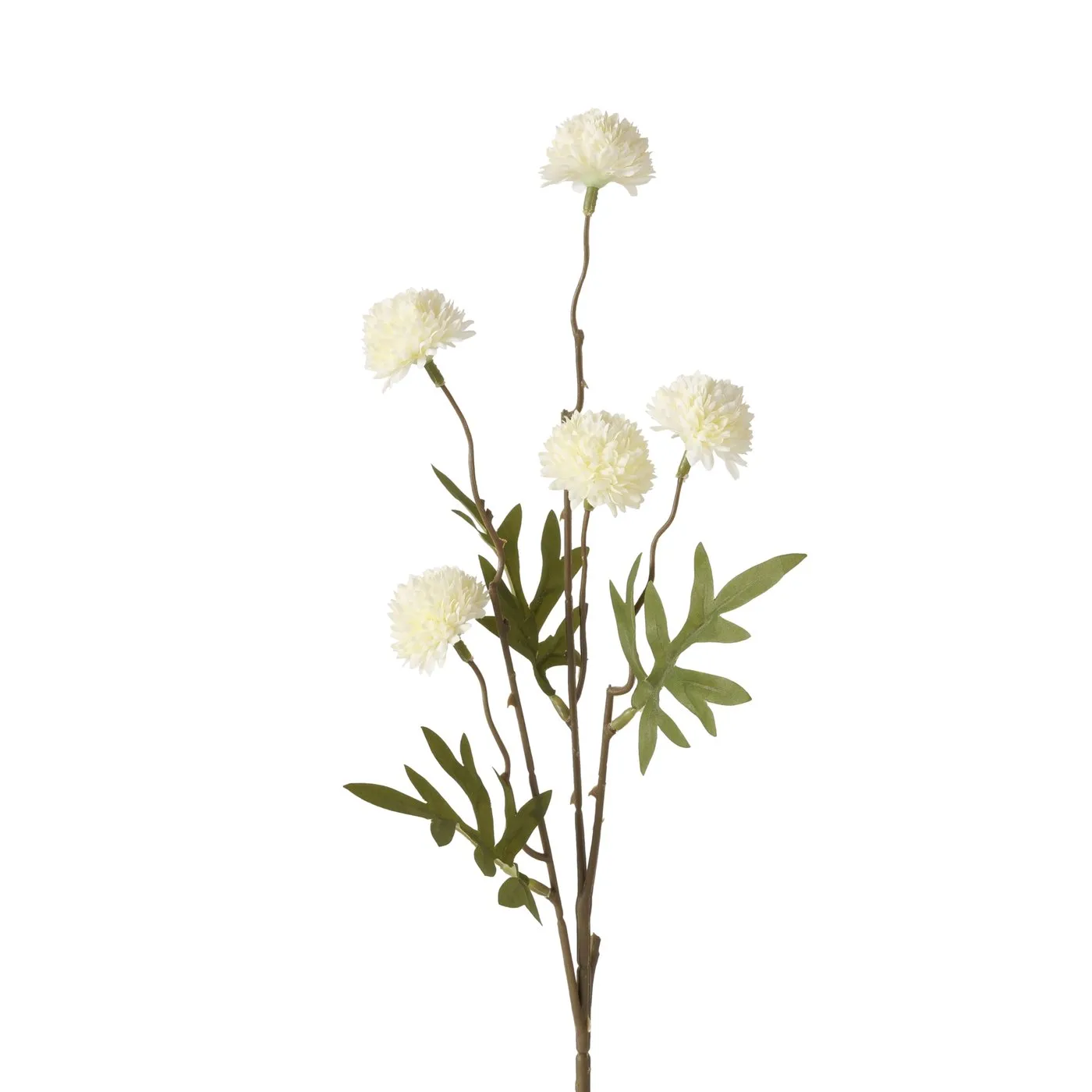 Dekorativ gül Boltze Dahlia 53 sm — Bakı