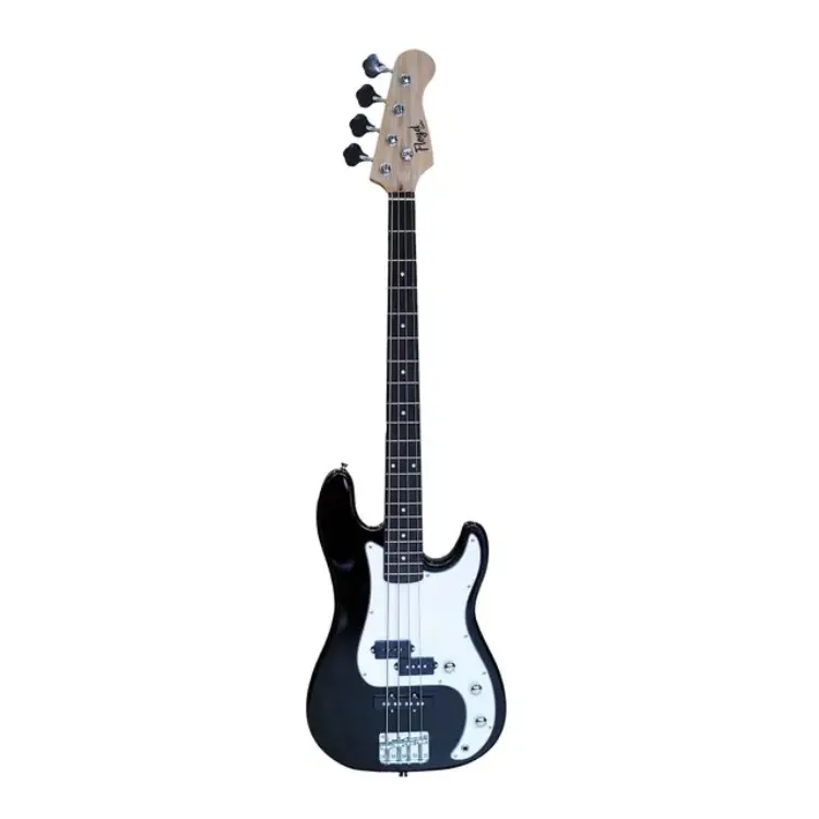 Bass gitara Floyd EBS200-20 BK — Bakı