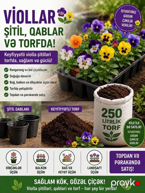 Otaq Bitkilərinə Peşəkar Qulluq Xidməti Gülləriniz zəifləyib — Digah