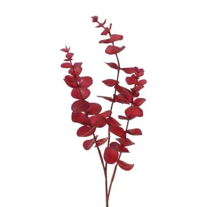 Dekor Boltze Eukalyptus H 75 sm — Bakı