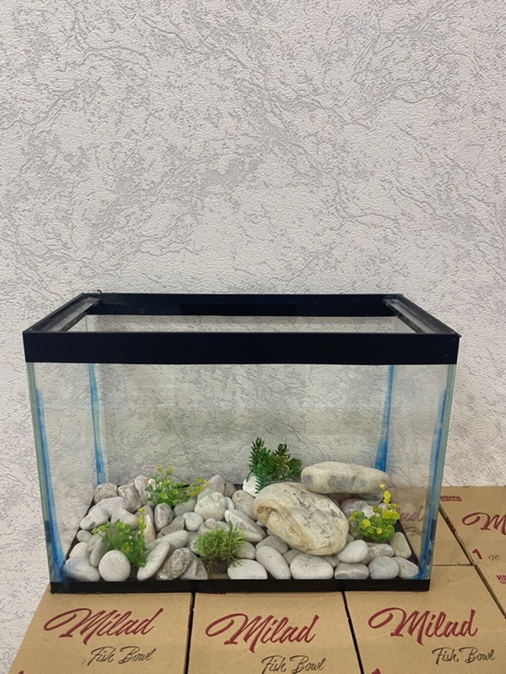 Dördbucaq akvarium, Boş, 14 l, Ünvandan götürmə, Pulsuz çatdırılma, Ödənişli çatdırılma — Heyvanlar, Xırdalan