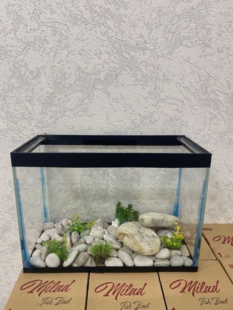 Dördbucaq akvarium, Boş, 14 l, Ünvandan götürmə, Pulsuz çatdırılma, Ödənişli çatdırılma — Xırdalan