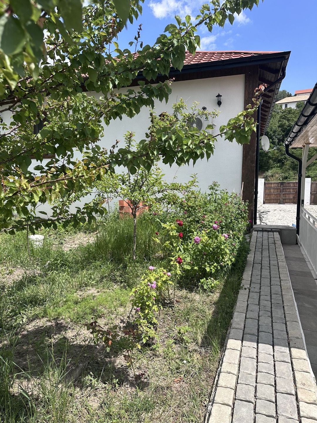 Bağ evi kirayə verilir, Laçın r — Ev, villa, Laçın (6)