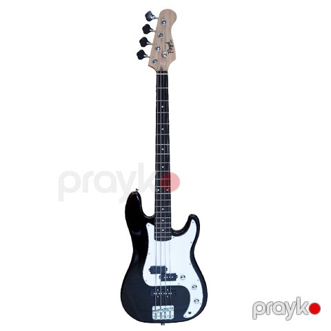 Bass gitara Floyd EBS200-20 BK — Bakı