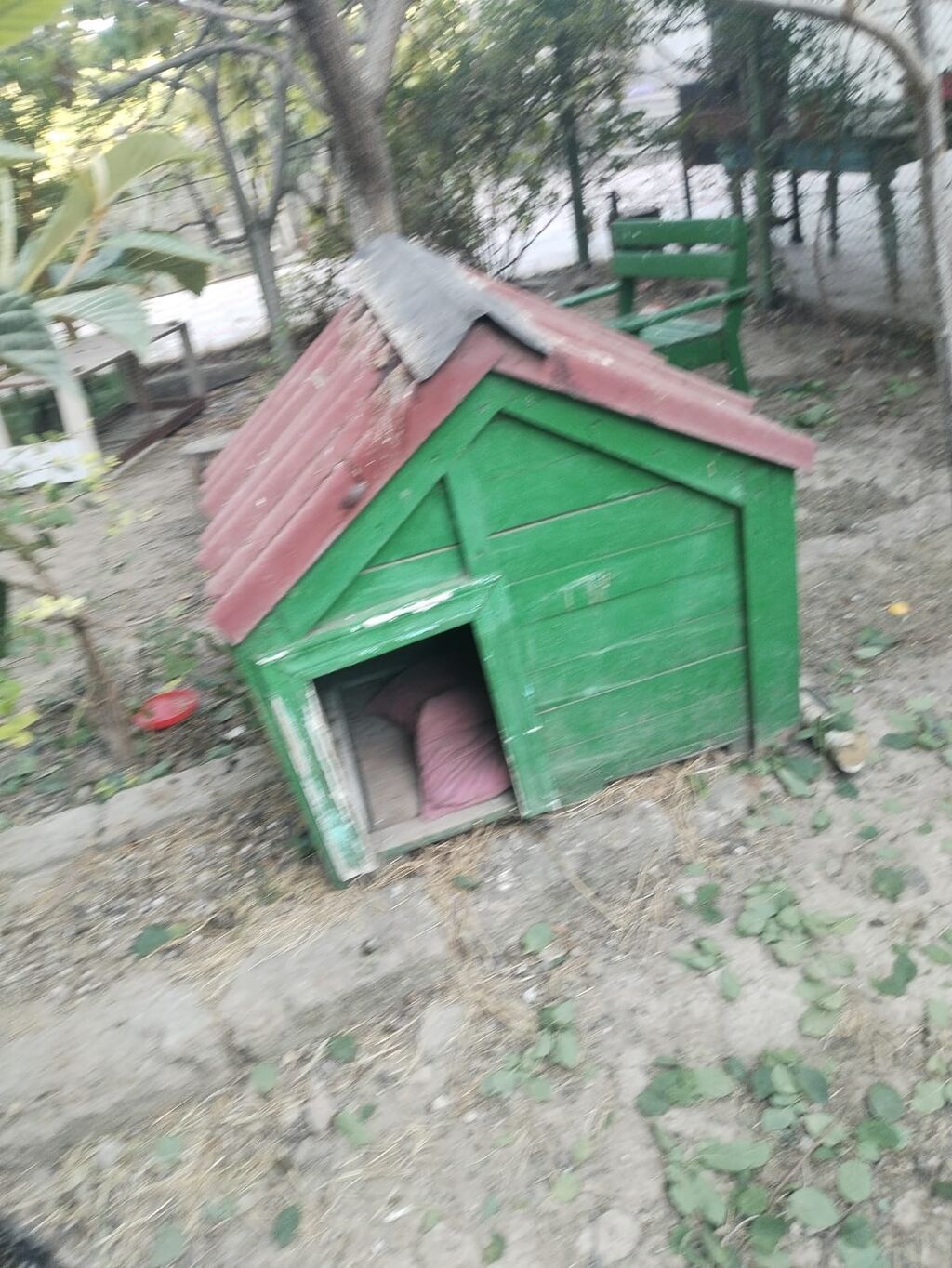 İt yuvası satılır - Material: taxtadan hazırlanmış, möhkəm karkas — Heyvanlar, Digah (3)