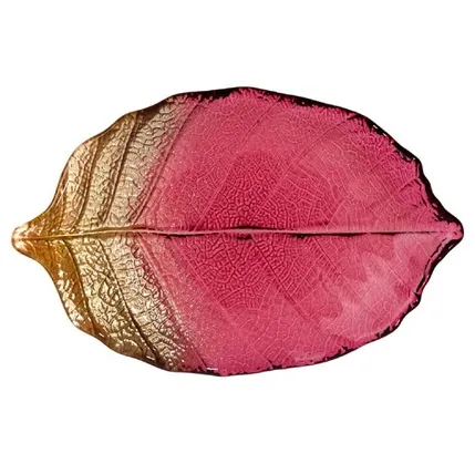 Bulud Lefard Bordeaux 21 sm (339-343) — Столовая посуда