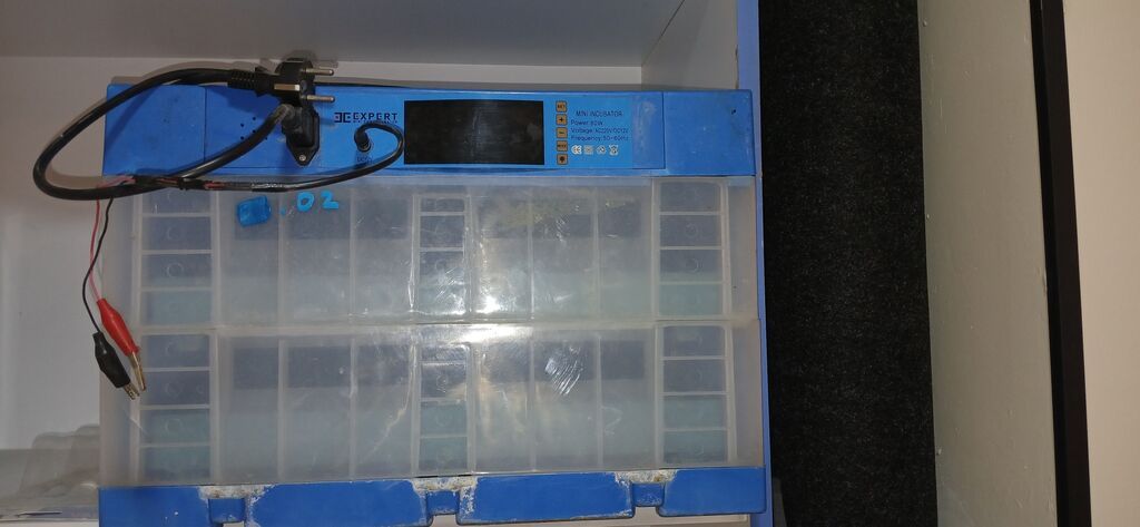 Expert Mini Inkubator - Model: Expert Mini Incubator (üst paneldə — Kənd təsərrüfatı avadanlığı, Bakı (2)