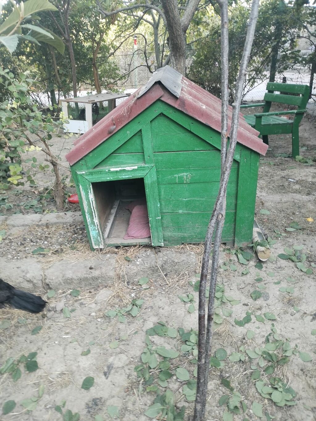 İt yuvası satılır - Material: taxtadan hazırlanmış, möhkəm karkas — Heyvanlar, Digah (2)