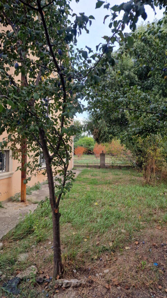 Həyət evi kirayə verilir, Qusar r — Ev, villa, Qusar (5)