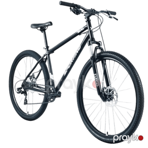 Forward Sporting SX 29 (Wheel 29/ Gear 8/ Size 21) Black/Silver