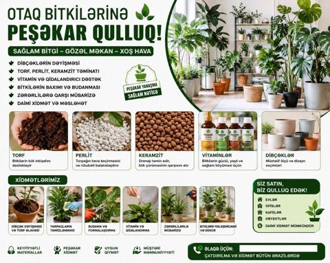 Otaq Bitkilərinə Peşəkar Qulluq Xidməti Gülləriniz zəifləyib — Digah