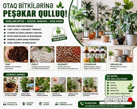 Otaq Bitkilərinə Peşəkar Qulluq Xidməti Gülləriniz zəifləyib — Digah