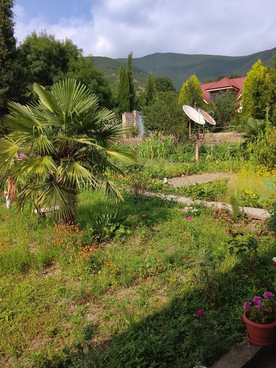 Həyət evi kirayə verilir, Şəki ş — Ev, villa, Şəki (12)