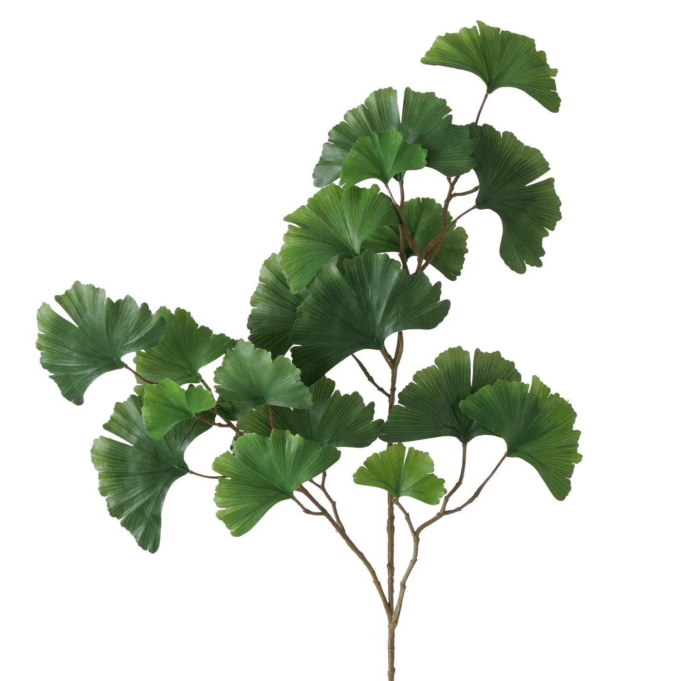 Dekorativ gül Boltze Gingko 90 sm — Bakı