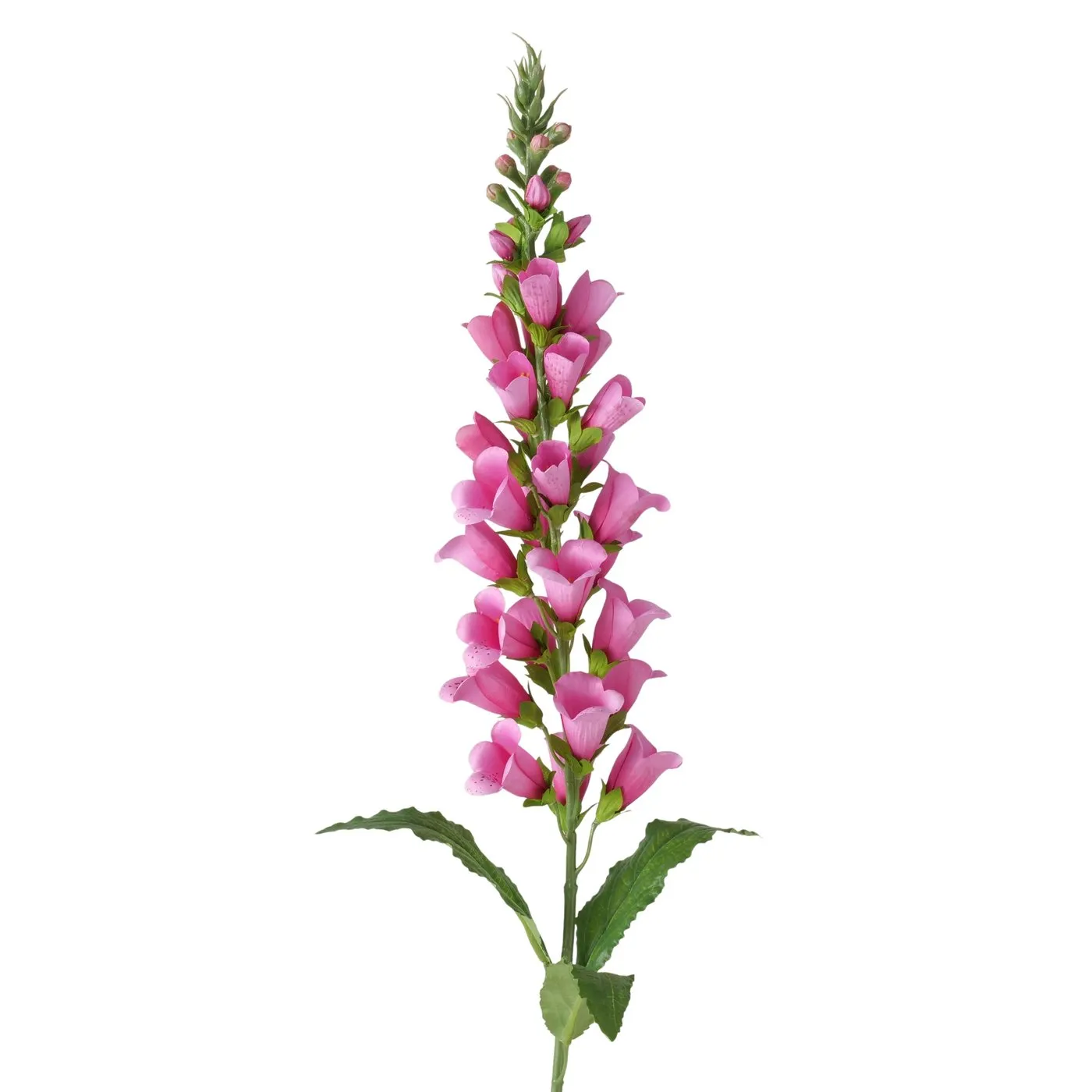 Dekorativ gül Boltze Foxglove 96 sm (2077326) — Bakı