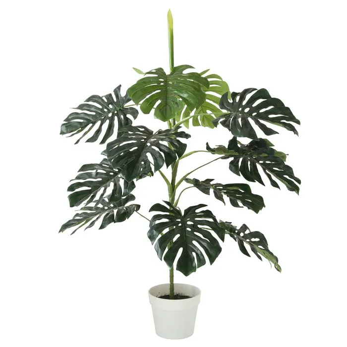 Dekorativ gül Boltze Monstera 110 sm — Bakı