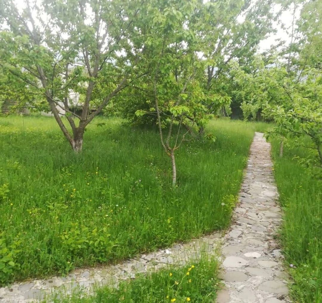 Bağ evi kirayə verilir, Quba r — Ev, villa, Quba (5)
