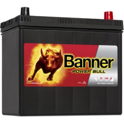 Avtomobil üçün akkumulyator Banner Power Bull 45AH P4523 — Bakı