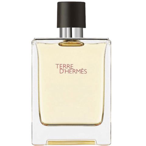 Kişi parfümü Hermes Terre D'Hermes EDT 100 ml 3346130009603 — Perfumes
