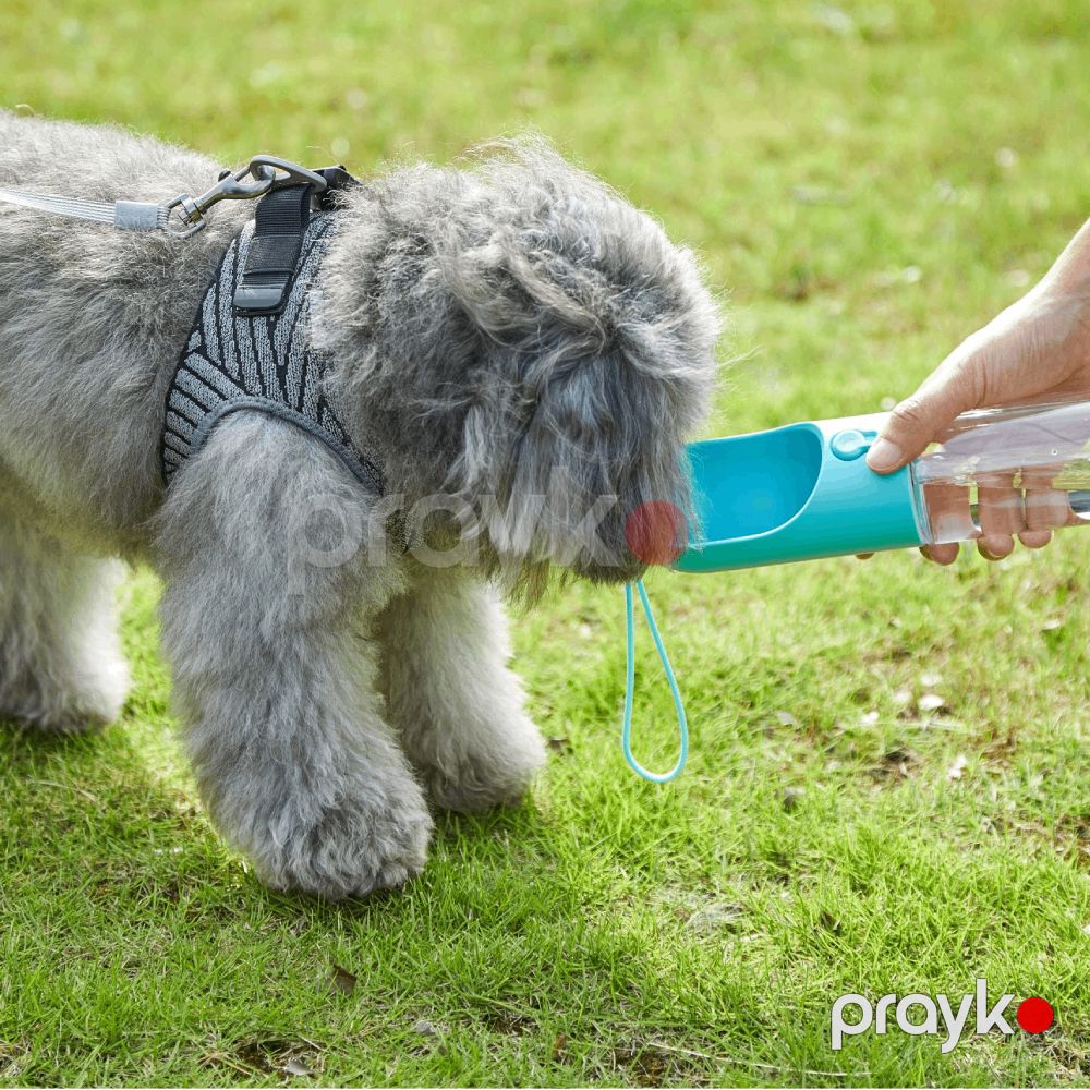 Portativ su qabı Petkit S300 P4220 Blue — Heyvan malları, Bakı (2)