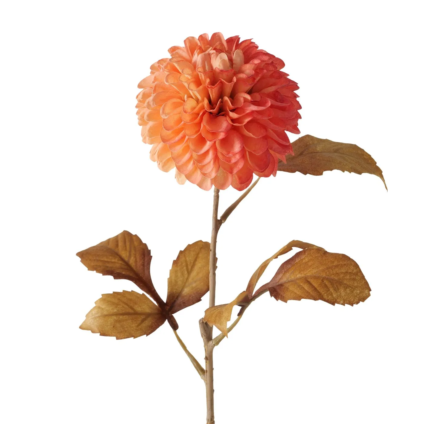 Dekorativ gül Boltze Chrysanthemums 40 sm Orange — Bakı