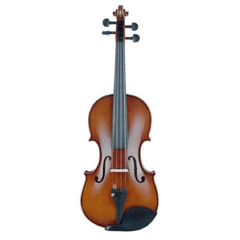 Skripka Amati VE102BE 4/4 — Bakı