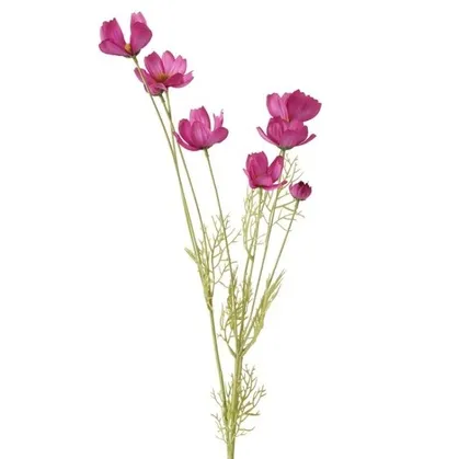 Dekor Boltze Flower stem Cosmea H 10 sm — Bakı