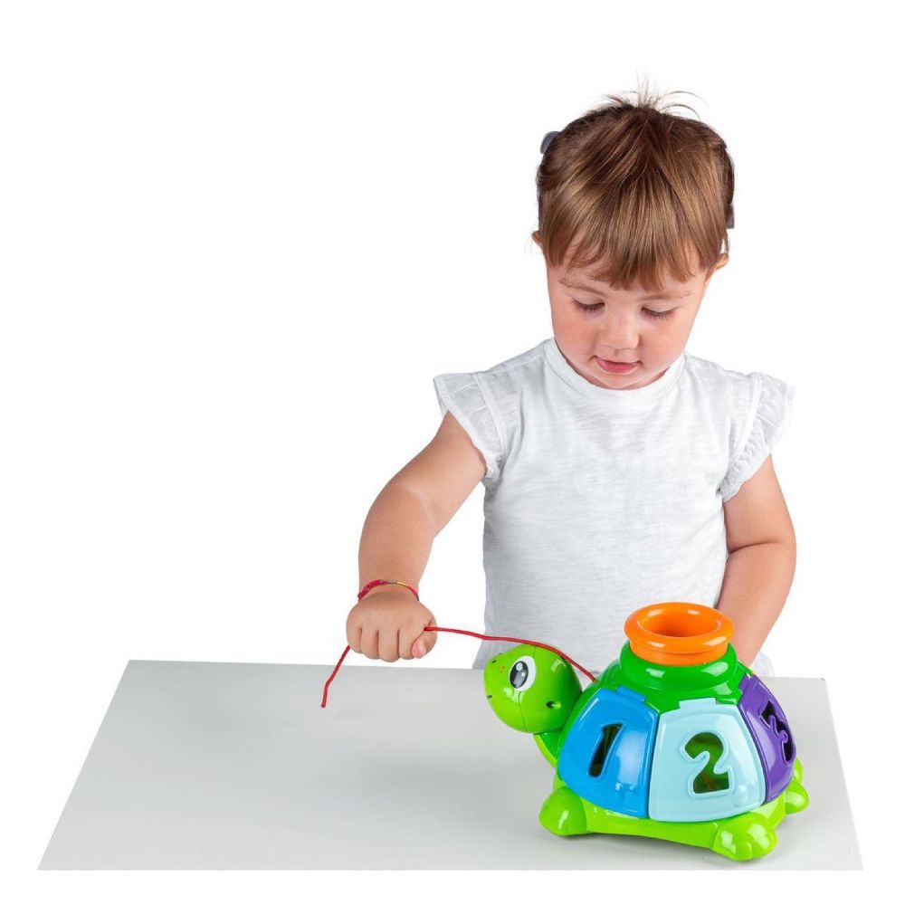 Chicco oyuncaq-sorter tısbağa 00010622000000 — Mallar, Bakı (3)