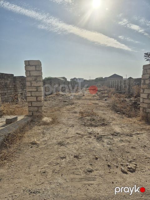 6 sot, Tikinti, Mülkiyyətçi, Kupça (Çıxarış)