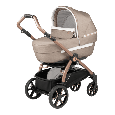Uşaq arabası Peg-Perego Book Mon Amour — Bakı