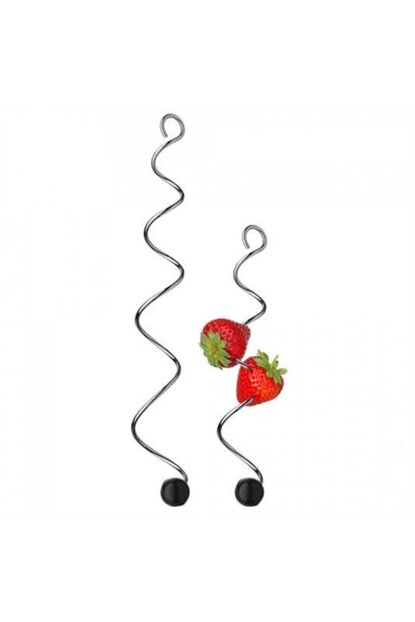 Aksesuar WMF Qrafin üçün meyvə çubuğu 2 parça (3201000194) — Dining tableware