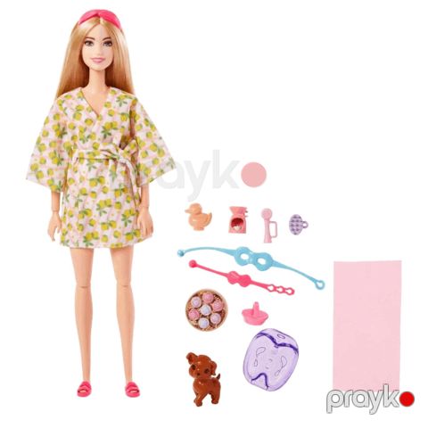 Kukla Barbie BRB Wlnss DL Spa NDV 194735108176 — Bakı