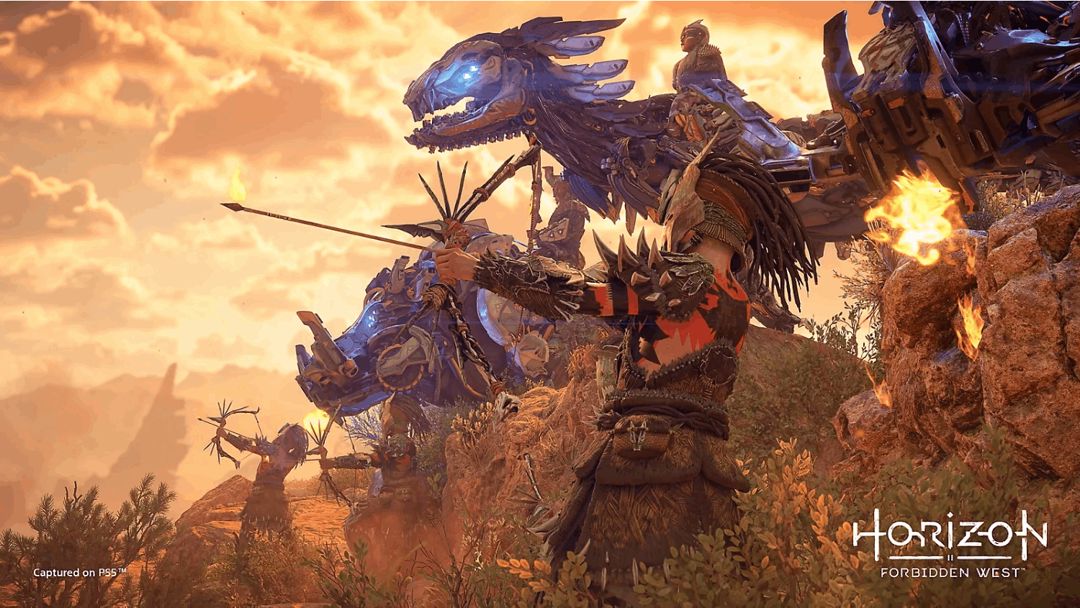Disk РlayStation 5 (Horizon Forbidden West) — Mallar, Bakı (3)