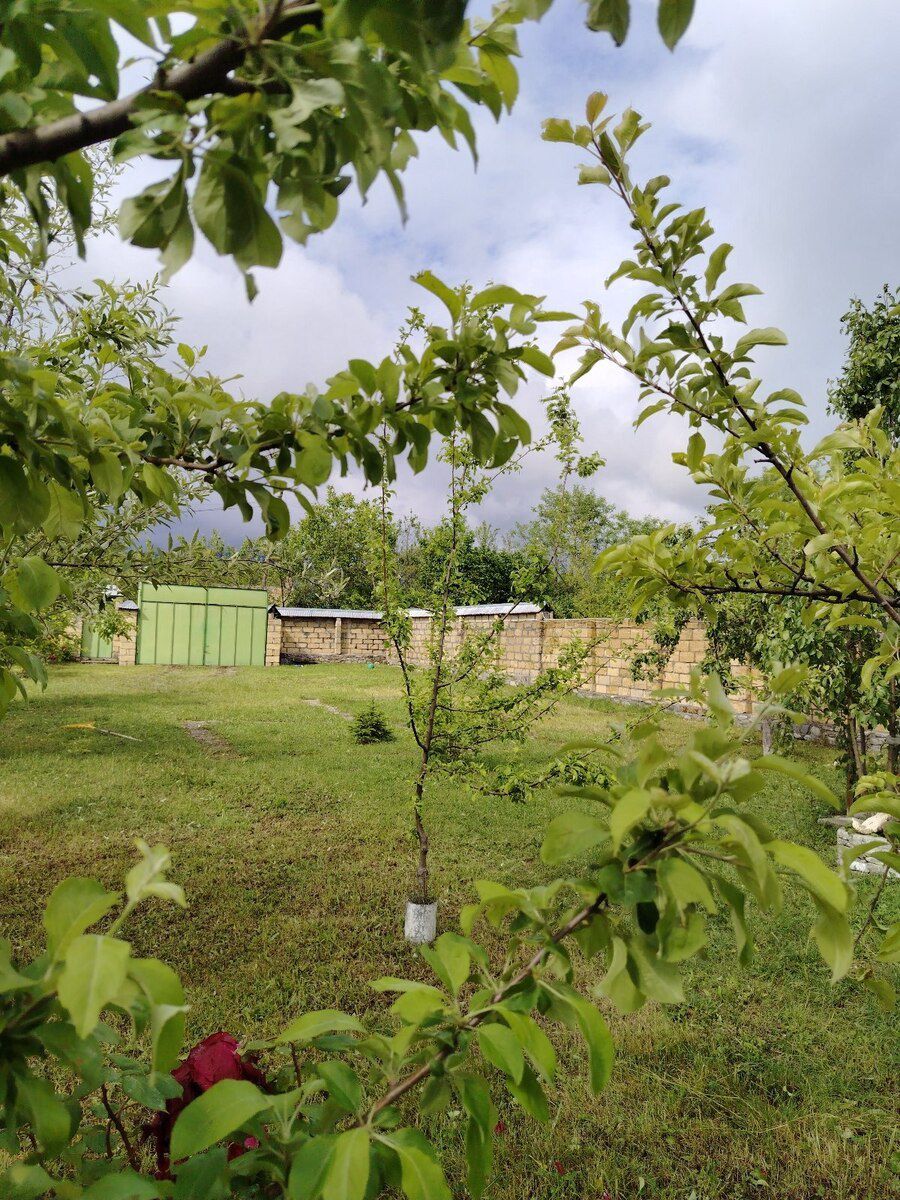 3 sot torpaq sahəsi, Qəbələ r — Torpaq, Qəbələ (7)