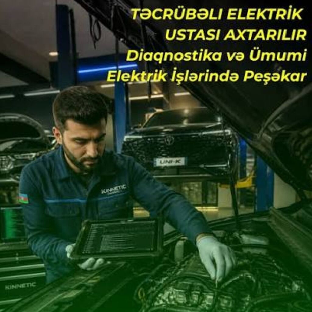 Peşəkar avtomobil elektrik xidmətləri - Diaqnostika: Elektron — Xidmətlər, Digah