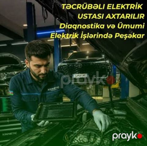 Peşəkar avtomobil elektrik xidmətləri - Diaqnostika: Elektron — Digah