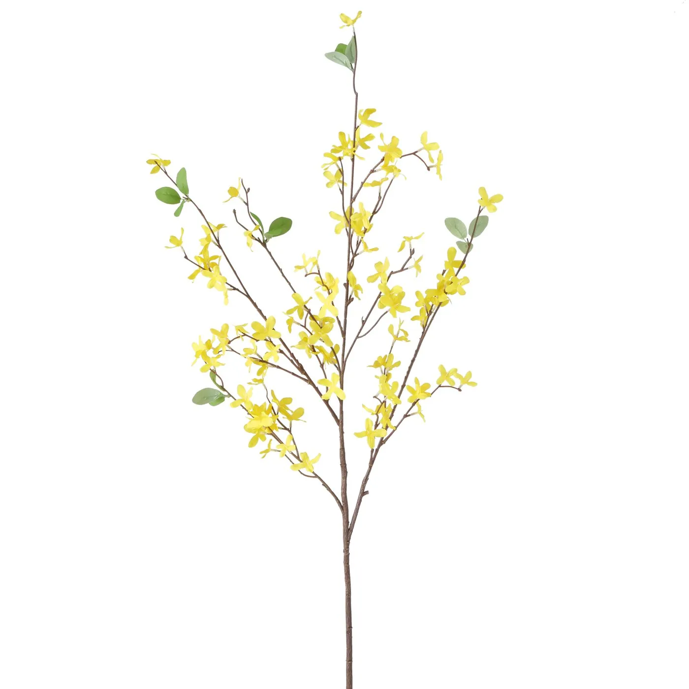 Dekorativ gül Boltze Forsythia 104 sm — Bakı