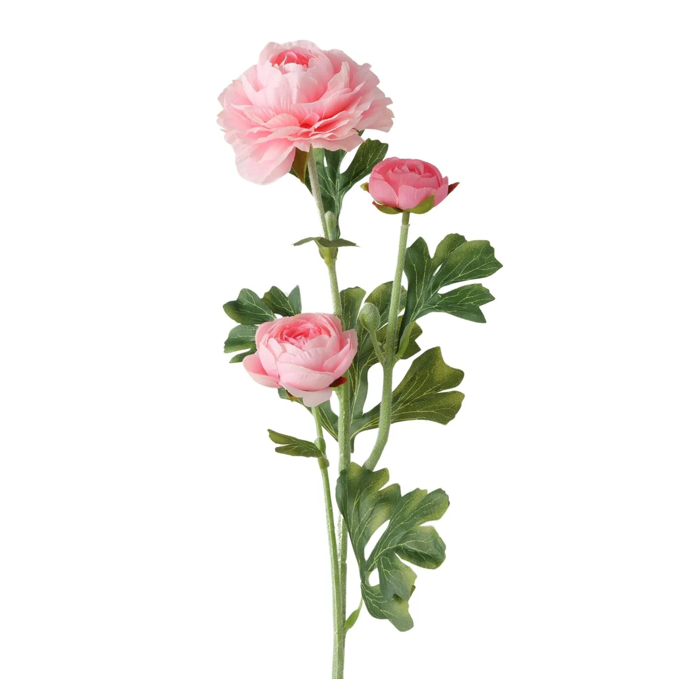 Dekorativ gül Boltze Buttercup 63,5 sm — Bakı