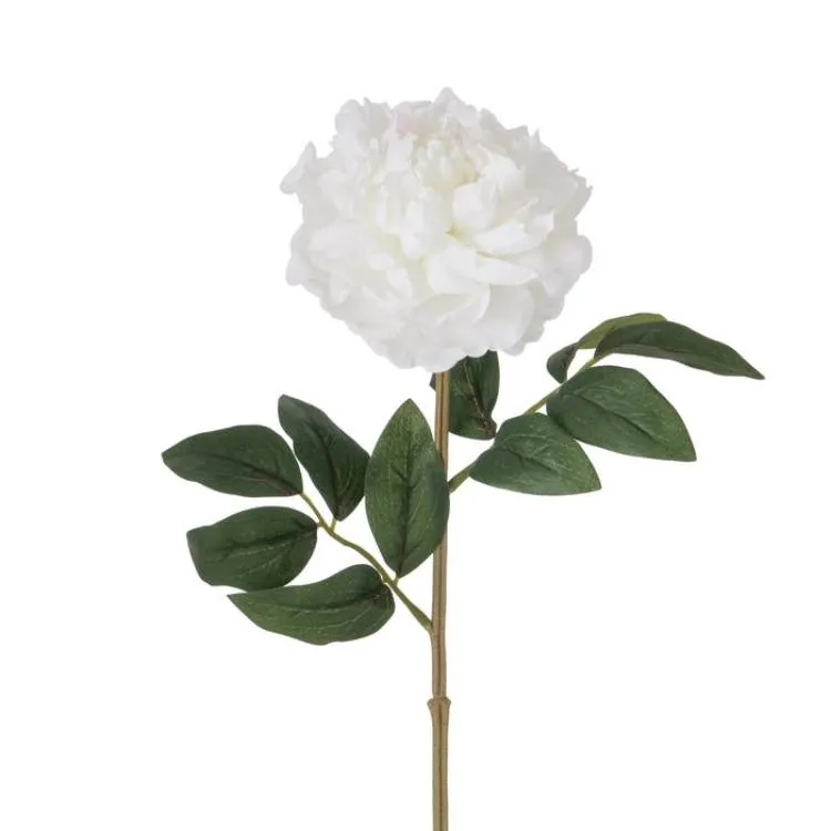 Dekor Boltze Flower stem Peony H 17 sm — Bakı
