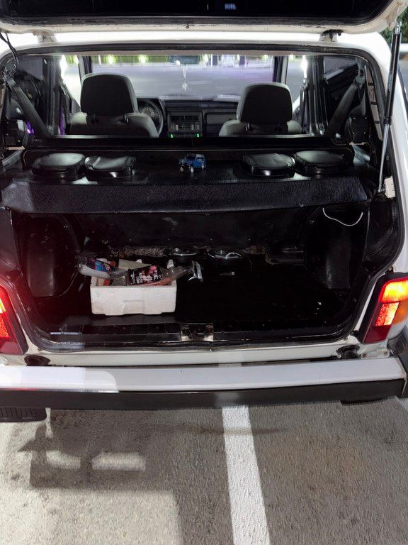 Lada (VAZ) Niva, 1.7 L, 2012 il, 300 000 km — Avtomobillər, Gəncə (9)