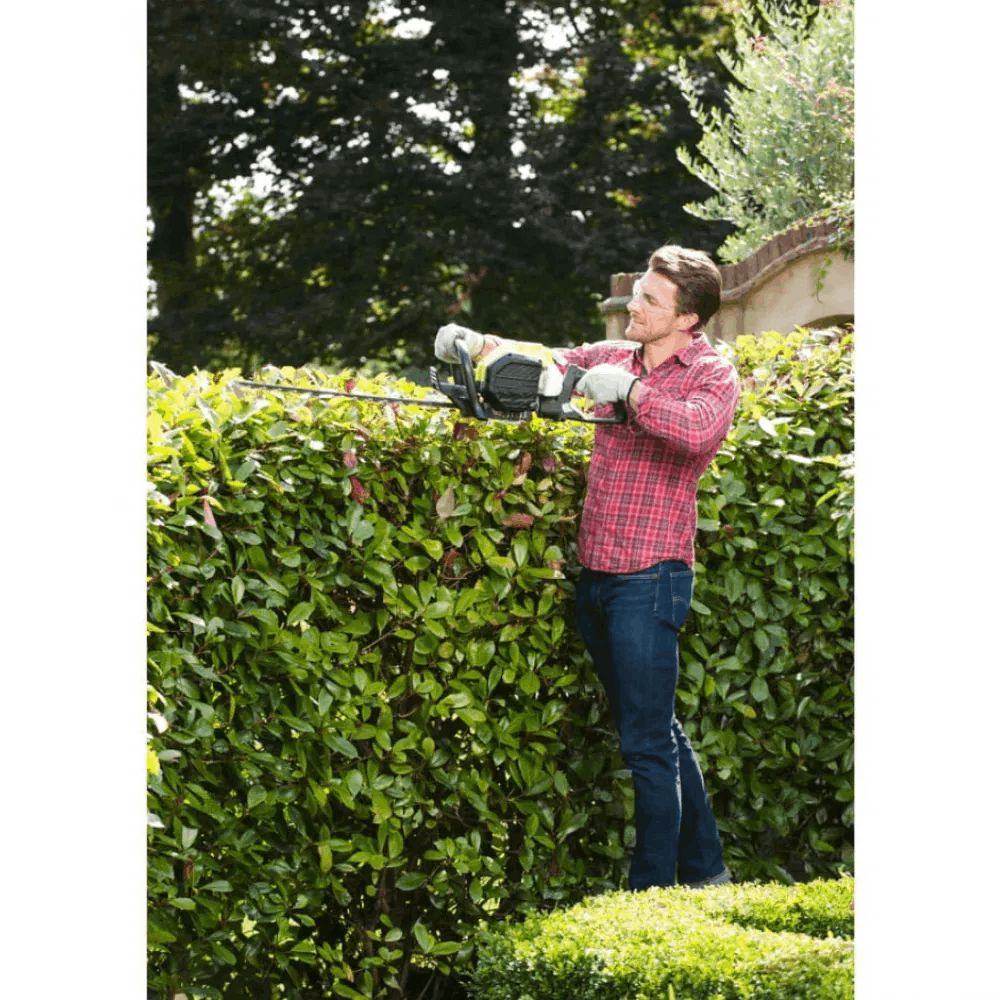 Benzinli kolkəsən Ryobi RHT25X55R — Mallar, Bakı (5)
